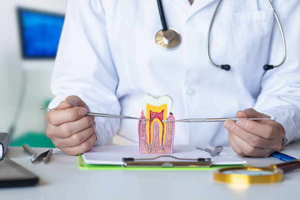 Best Emergency Dental Surgery in Paris, IL